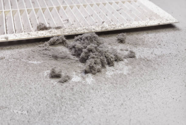 Best Affordable HVAC Duct Cleaning  in Franklin Grove, IL