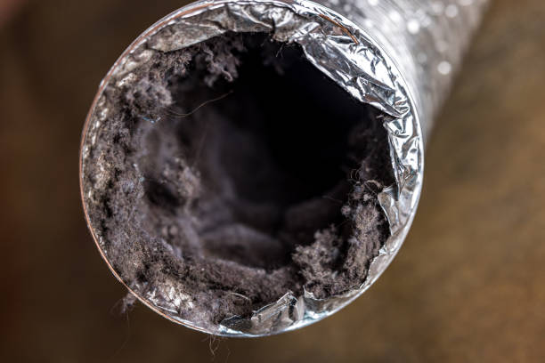 Air Duct Mold Removal in Franklin Grove, IL